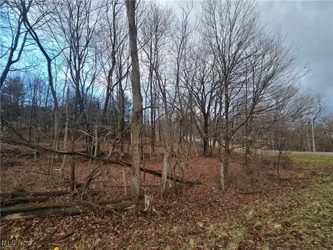 Apple Valley Drive, Howard, OH 43028