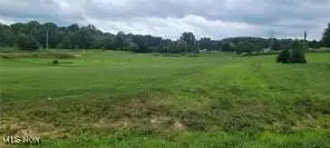 Red Tail Drive, Leetonia, OH 44431