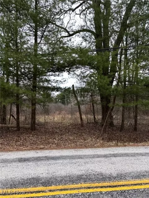 V/l Peck Road, Ravenna, OH 44266