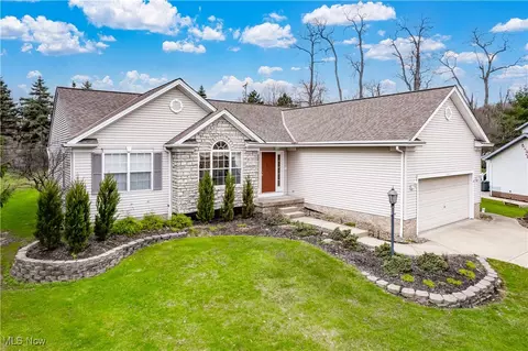10028 Deerfield Ct, Twinsburg, OH 44087