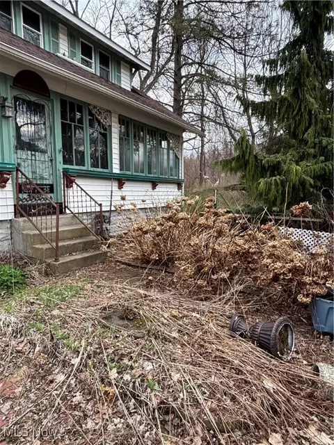 Exterior - 6234 Mcnutt Ave, Ashtabula, OH 44004 photo 2 of 11
