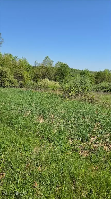 3834 Tabor Ridge Rd NE, Mineral City, OH 44656