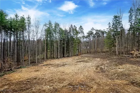 tbd Trumpower Rd, Perrysville, OH 44864