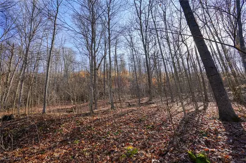 St Rt 73, Mcdermott, OH 45652 photo 25