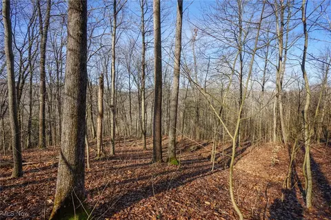 St Rt 73, Mcdermott, OH 45652 photo 19