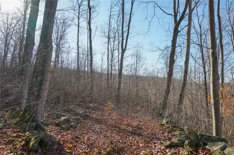 St Rt 73, Mcdermott, OH 45652 photo 31