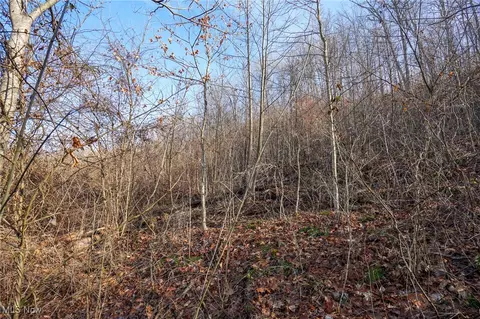 St Rt 73, Mcdermott, OH 45652 photo 20