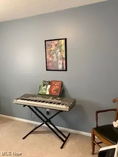 Other - 10312 Aspen Ct, Elyria, OH 44035 photo 5 of 10