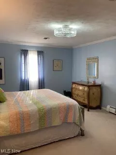 Bedroom - 10312 Aspen Ct, Elyria, OH 44035 photo 6 of 7