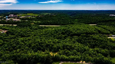 Surrounding Rose Garden, Weirton, WV 26062