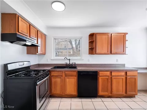 209 Franklin Ave, Elyria, OH 44035 photo 14