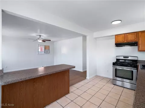 209 Franklin Ave, Elyria, OH 44035 photo 13