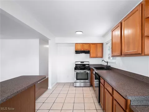 209 Franklin Ave, Elyria, OH 44035 photo 12