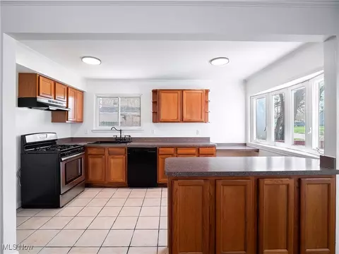 209 Franklin Ave, Elyria, OH 44035 photo 9