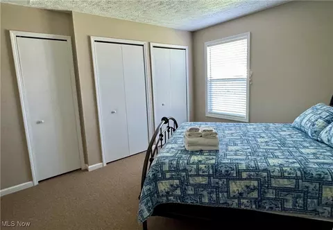 4839 Thomas Blvd, Geneva, OH 44041 photo 12