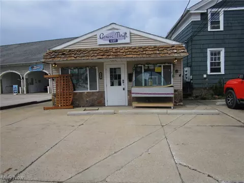 Other - 559 E 549 E Main St, Geneva, OH 44041 photo 8 of 15