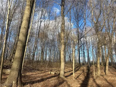 Mckee Road, Walhonding, OH 43843