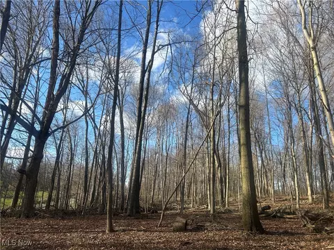 Mckee Road, Walhonding, OH 43843 photo 3