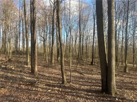 Mckee Road, Walhonding, OH 43843 photo 9