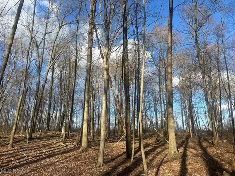 Mckee Road, Walhonding, OH 43843 photo 4