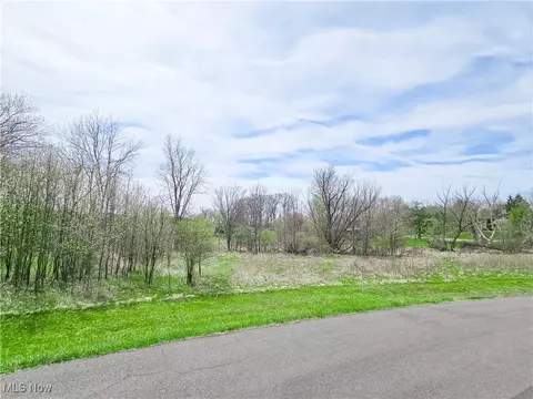 Birkdale Street Nw, Canton, OH 44708