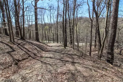 Mercer Road, Saint Clairsville, OH 43950