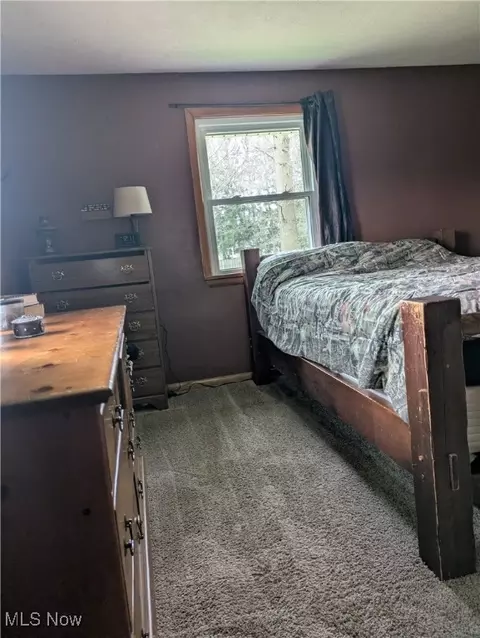 9581 Colton Rd, Windham, OH 44288 photo 16