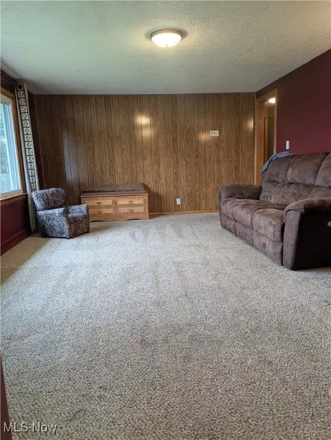 9581 Colton Rd, Windham, OH 44288 photo 12