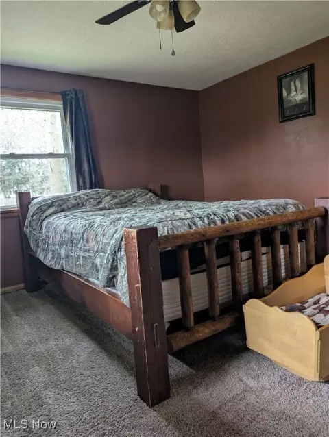9581 Colton Rd, Windham, OH 44288 photo 17