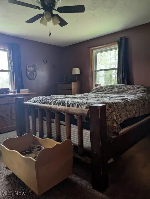 9581 Colton Rd, Windham, OH 44288 photo 15