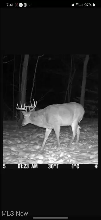 13651 16, Conesville, OH 43811 photo 21