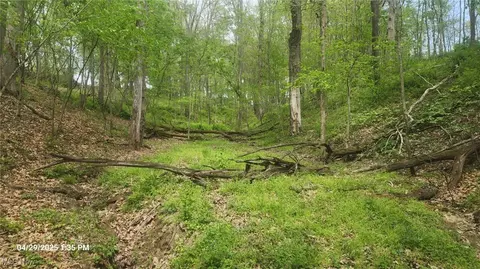 13651 16, Conesville, OH 43811 photo 17