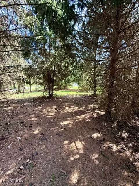 Other - 41 Wood Rd SE, Carrollton, OH 44615 photo 14 of 14