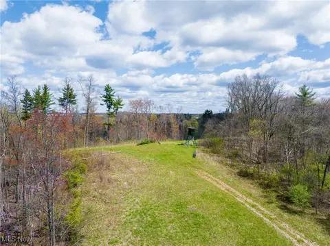 Ogles Ridge Road, Dexter City, OH 45727