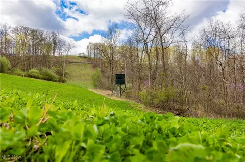 Ogles Ridge Road, Dexter City, OH 45727