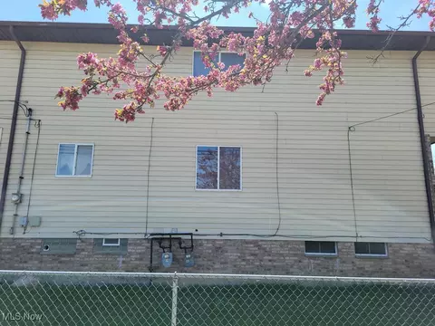 1393 E 262nd St, Euclid, OH 44132 photo 3