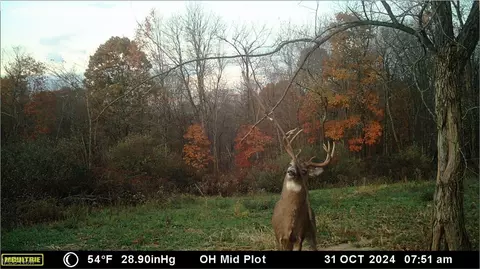 Oh-152, Toronto, OH 43964 photo 37