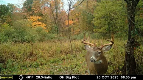 Oh-152, Toronto, OH 43964 photo 45