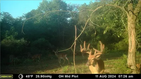 Oh-152, Toronto, OH 43964 photo 39