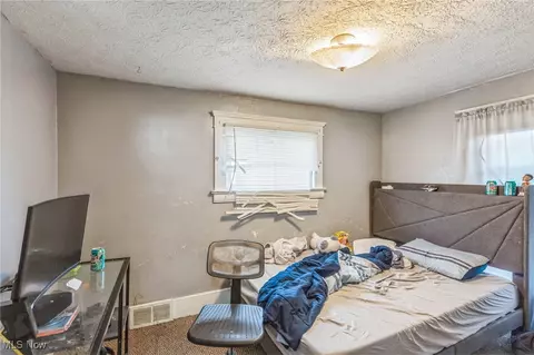 5742 Mccreery Ave, Ashtabula, OH 44004 photo 6