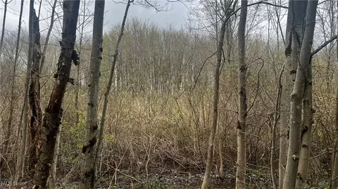 Netcher Road, Jefferson, OH 44047 photo 12