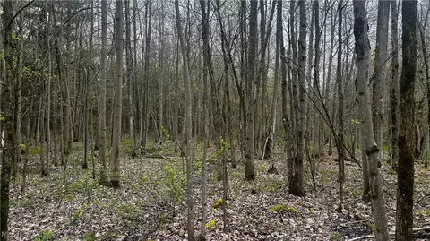 Netcher Road, Jefferson, OH 44047 photo 10
