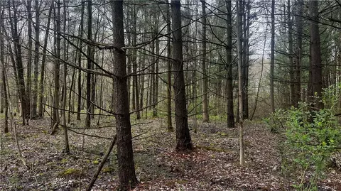 Netcher Road, Jefferson, OH 44047 photo 5