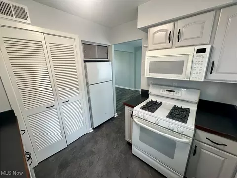 Kitchen - 215 E 235th St, Euclid, OH 44123 photo 1 of 3