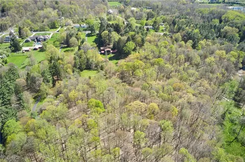 View/Area - 4323 Everett Rd, Richfield, OH 44286 photo 2 of 6