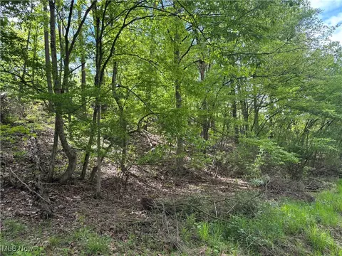 Other - 212 Rost Rd, Walker, WV 26180 photo 4 of 9