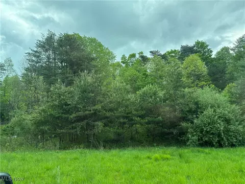 Other - 212 Rost Rd, Walker, WV 26180 photo 2 of 9
