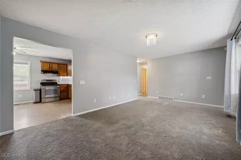 18 Lakeview Ct, Lagrange, OH 44050 photo 9