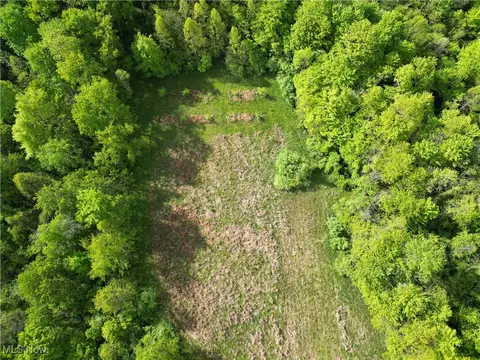 0 Layman Rd, Vincent, OH 45784 photo 13