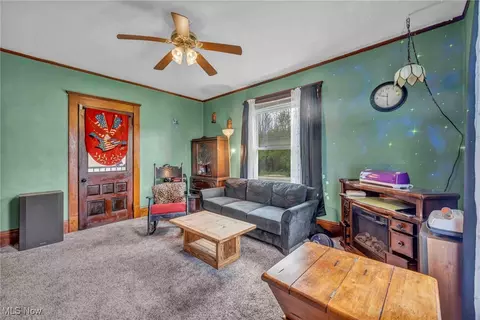 6873 Nichols Rd, Windham, OH 44288 photo 6